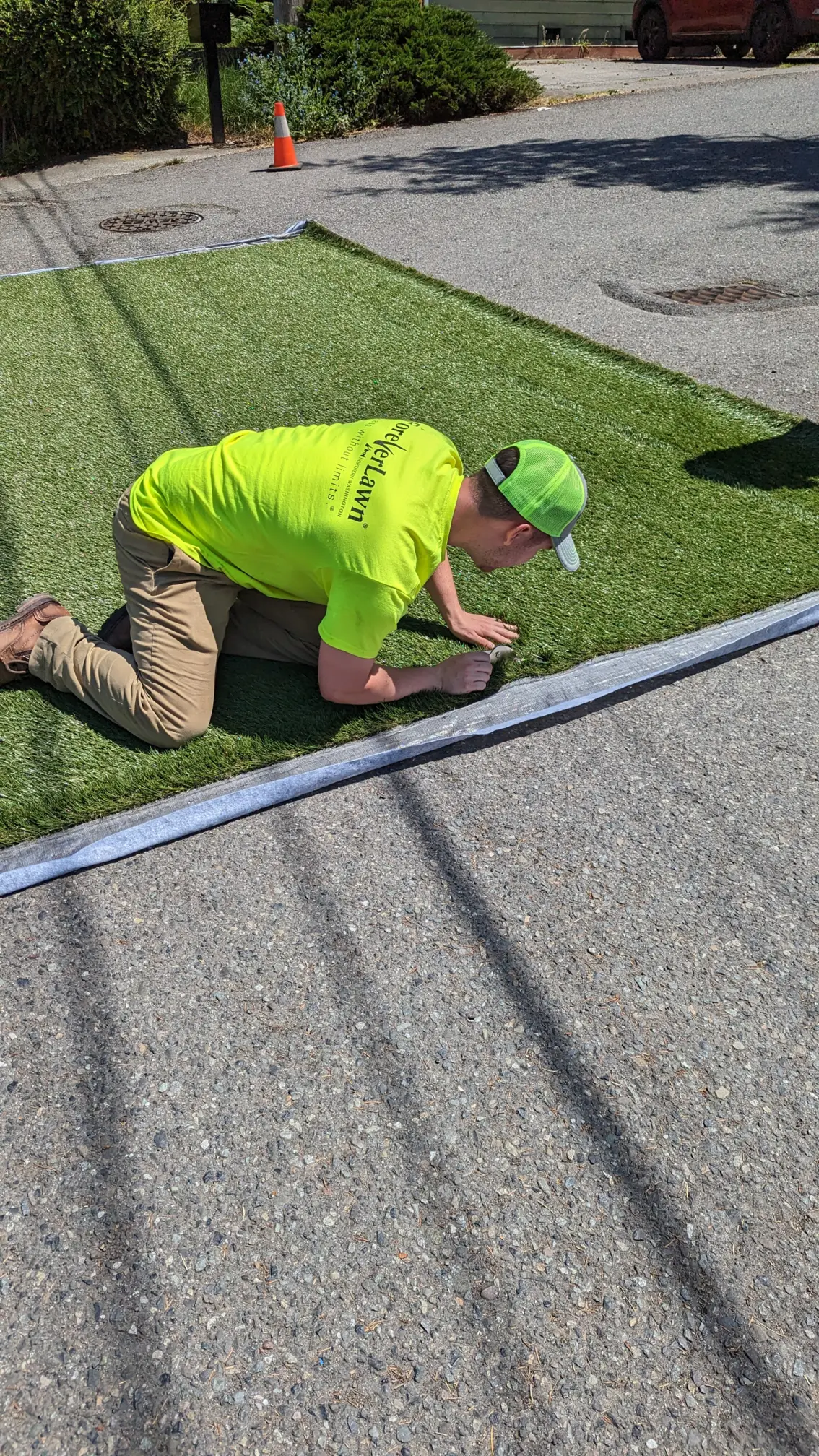 ForeverLawn® Northern Washington