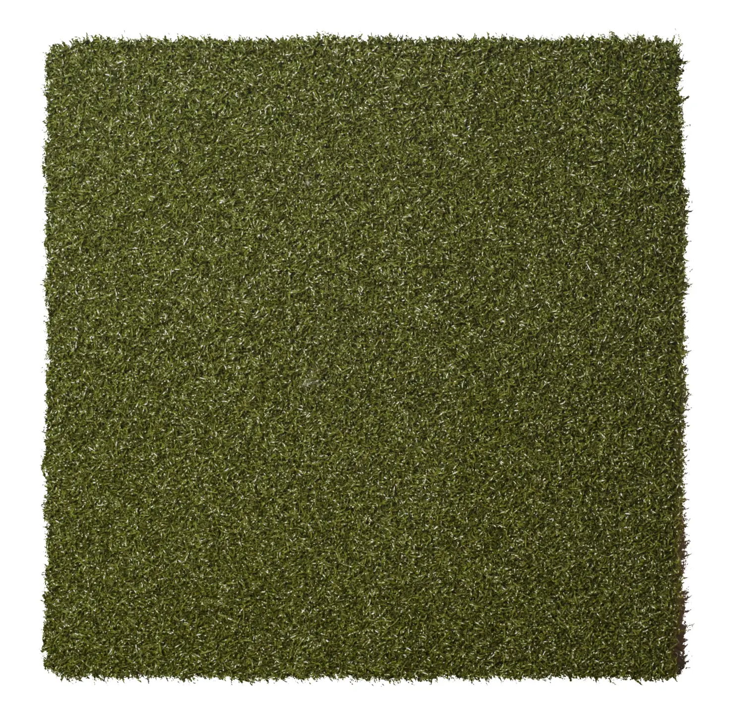 Pro Putt & Chip - Artificial Putting Green