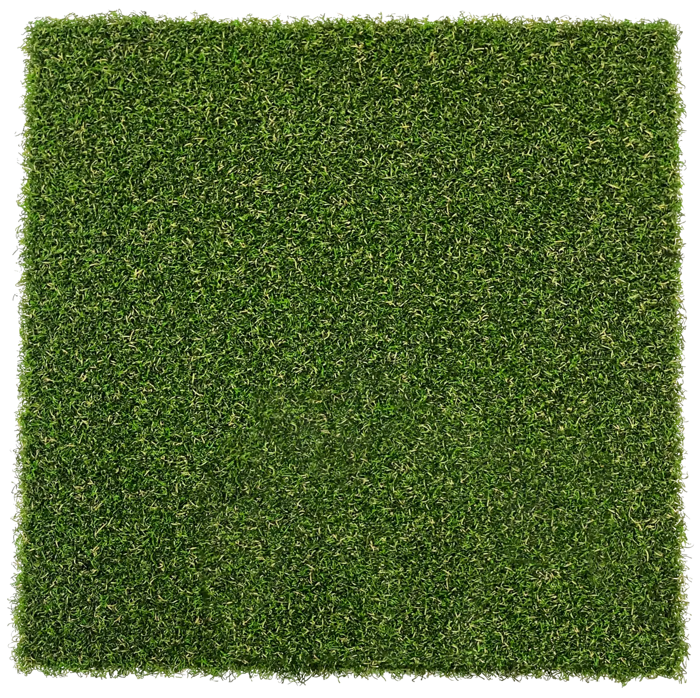 True Putt, Sawgrass - Artificial Putting Green