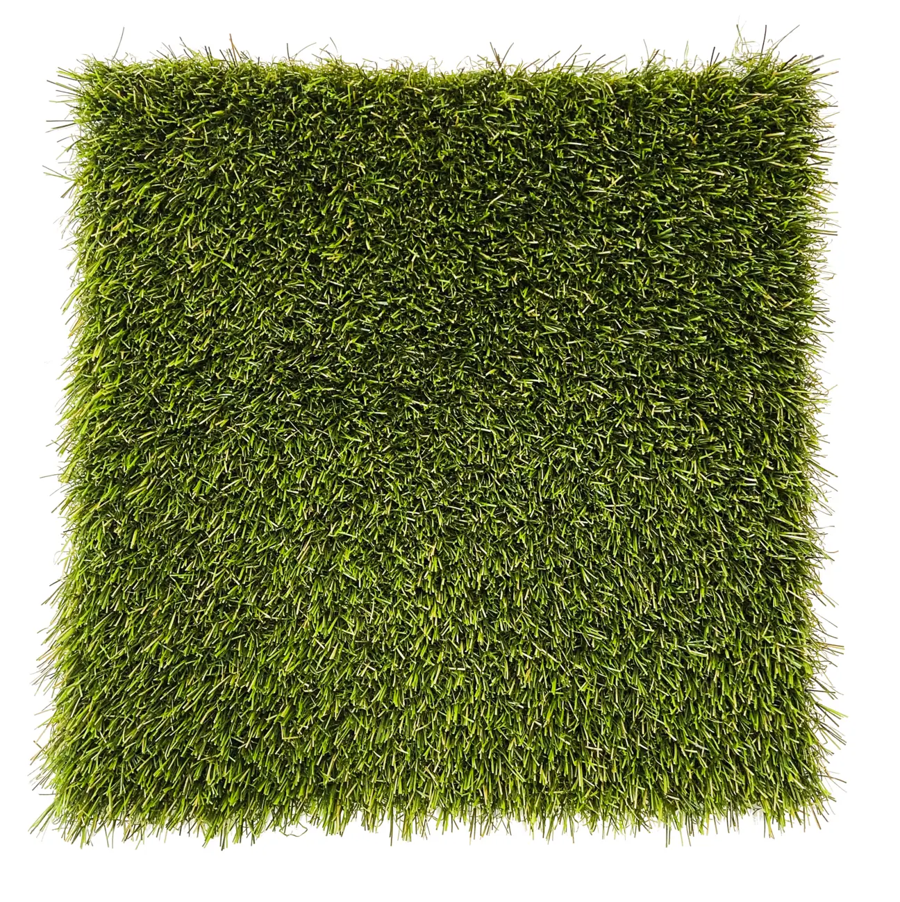 Elite - sythetic grass for dogs