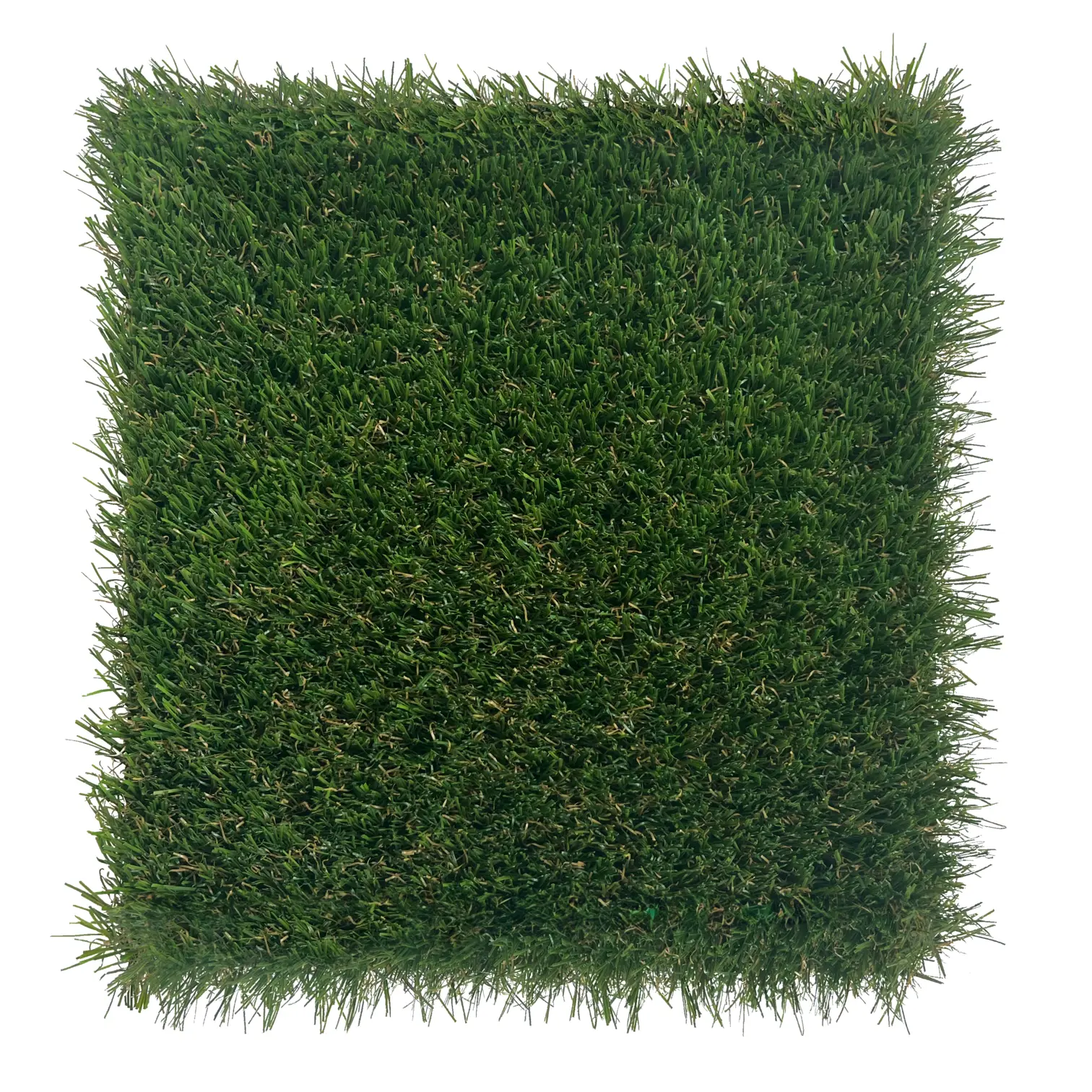 Renew Terrain - Artificial Landscaping Grass