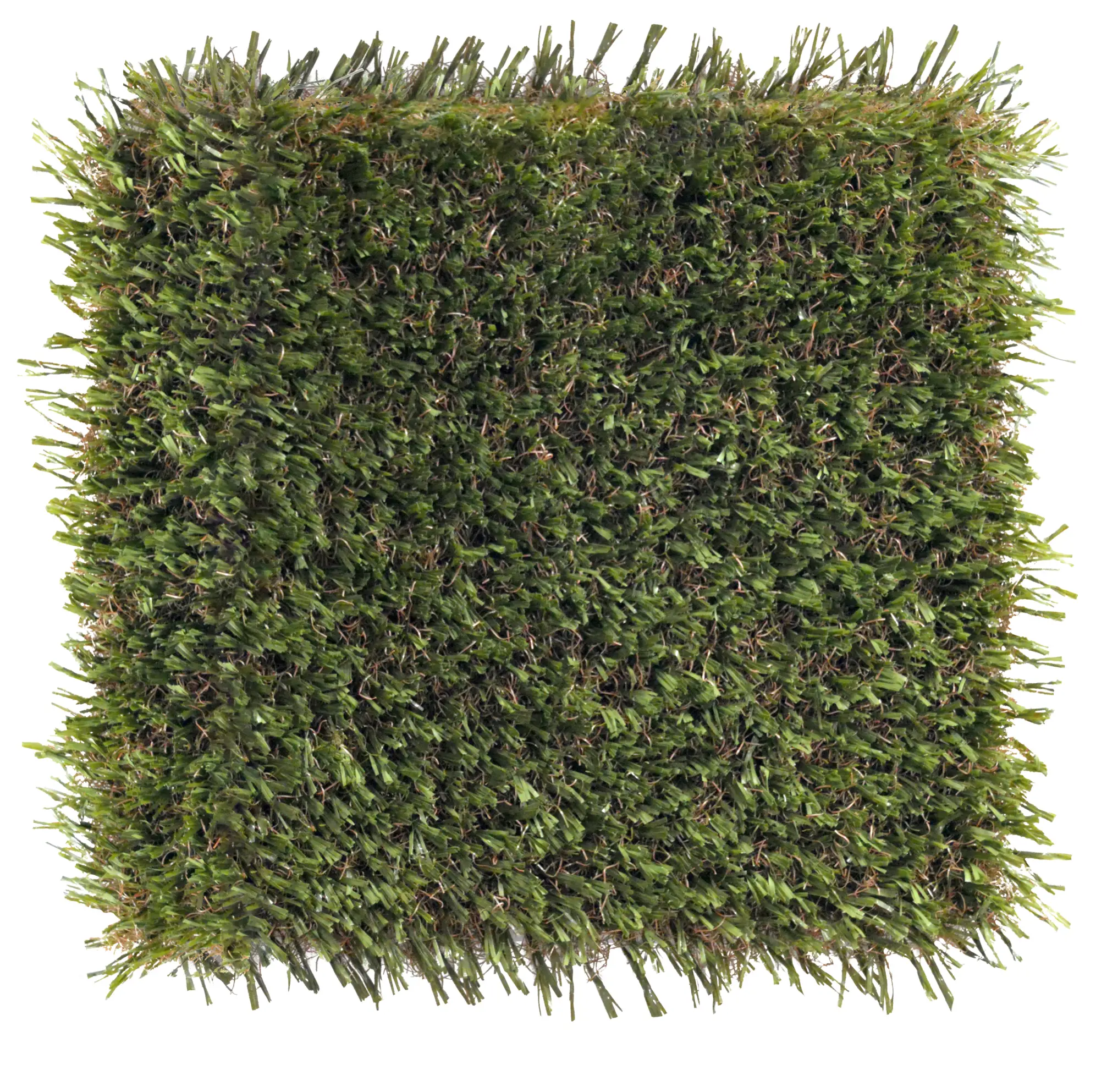 Edge XP - atheletic sports turf
