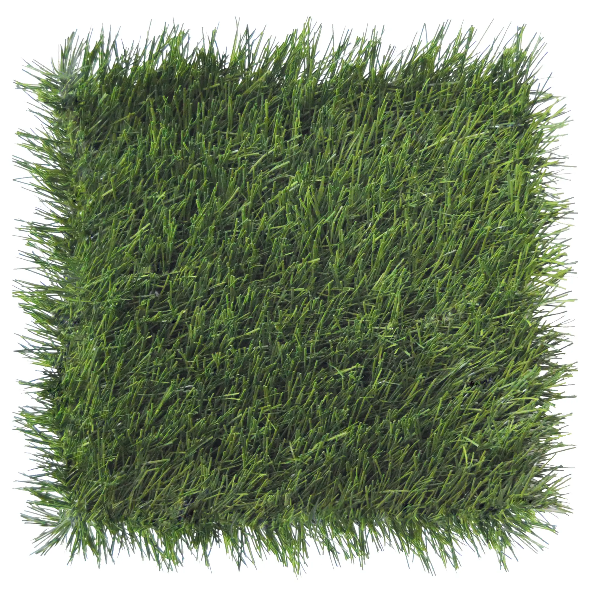 Rush - atheletic sports turf