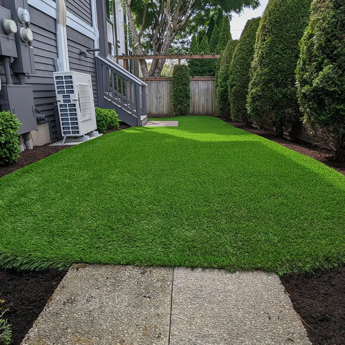 A Lush Green Space In Edmonds, Washington