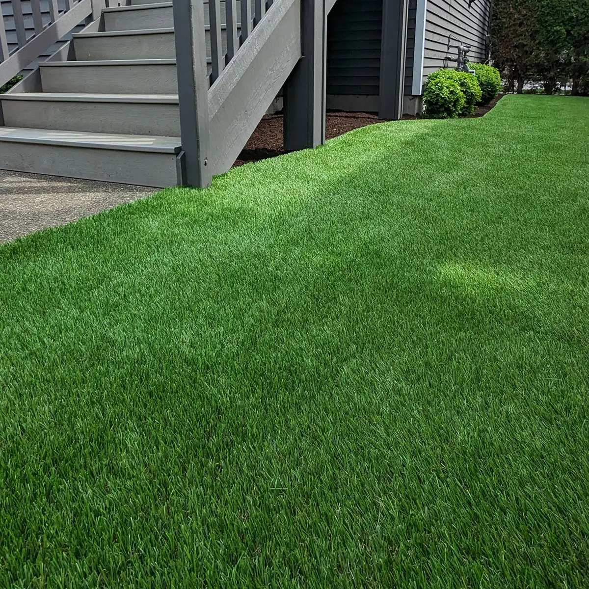 artificial landscaping turf