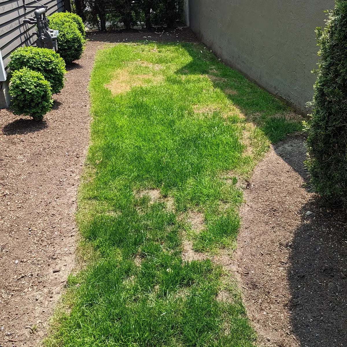 artificial landscaping turf