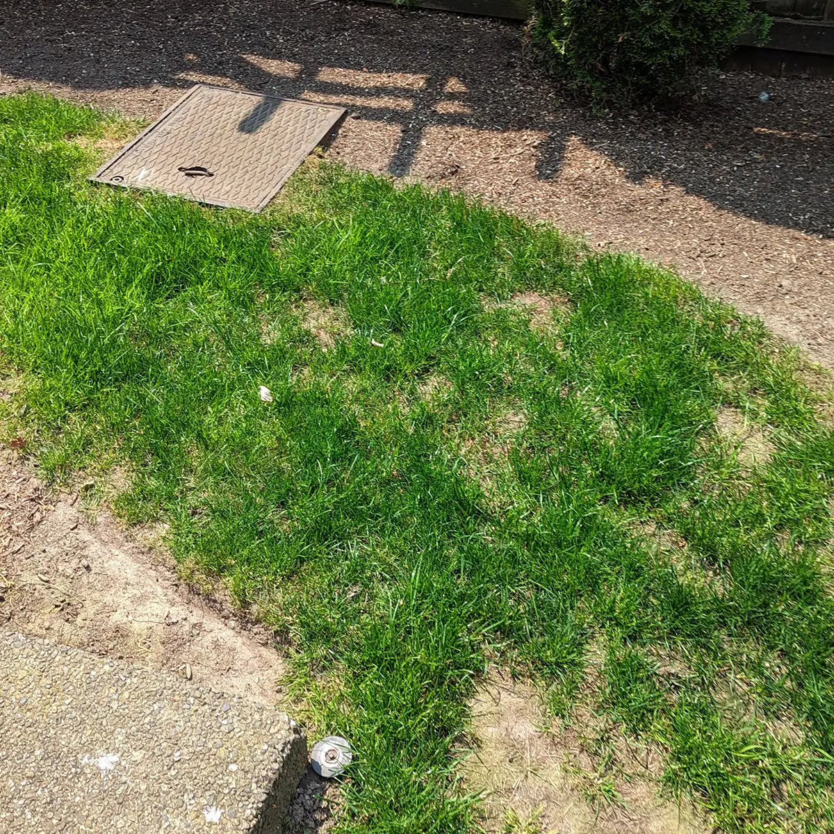 artificial landscaping turf