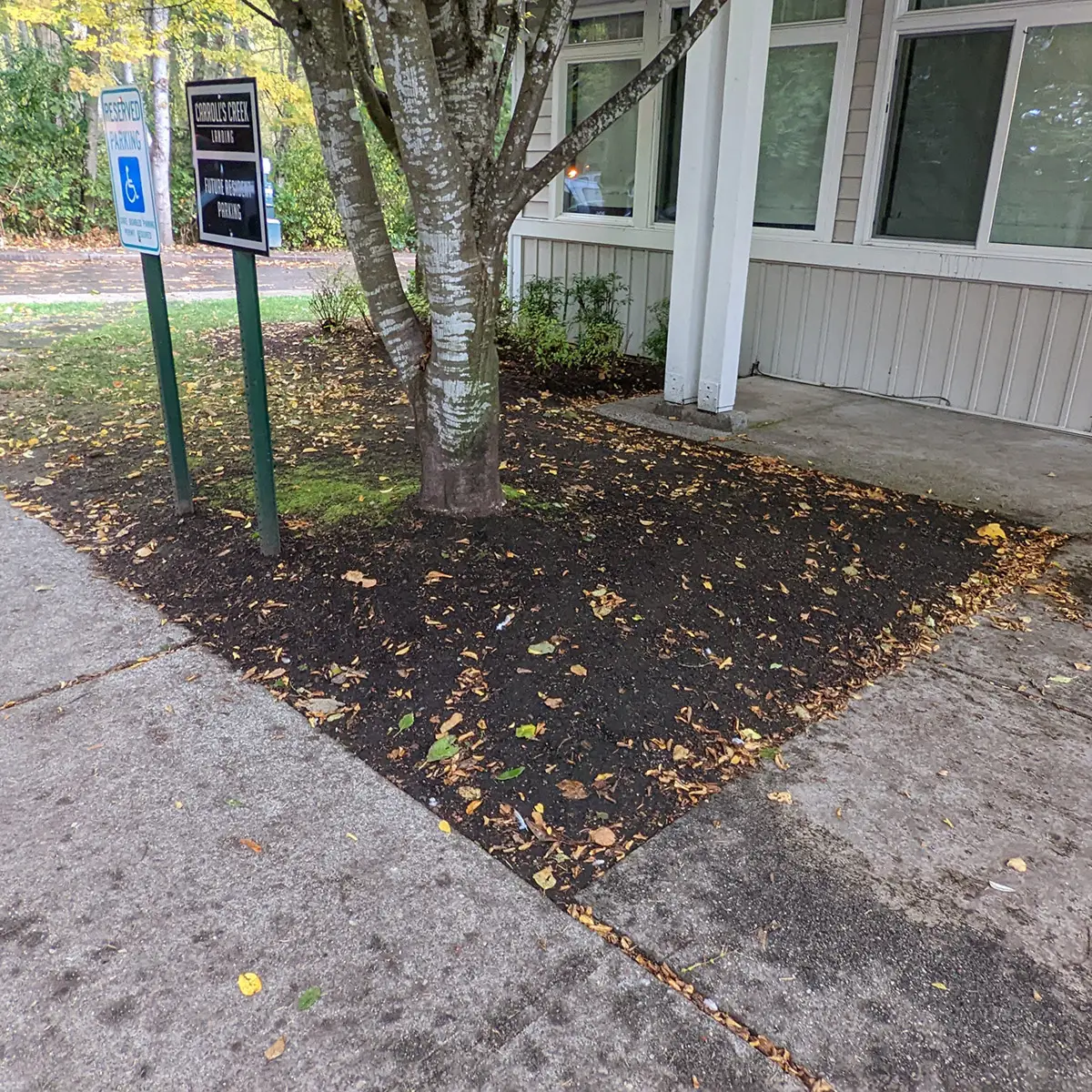 artificial landscaping grass