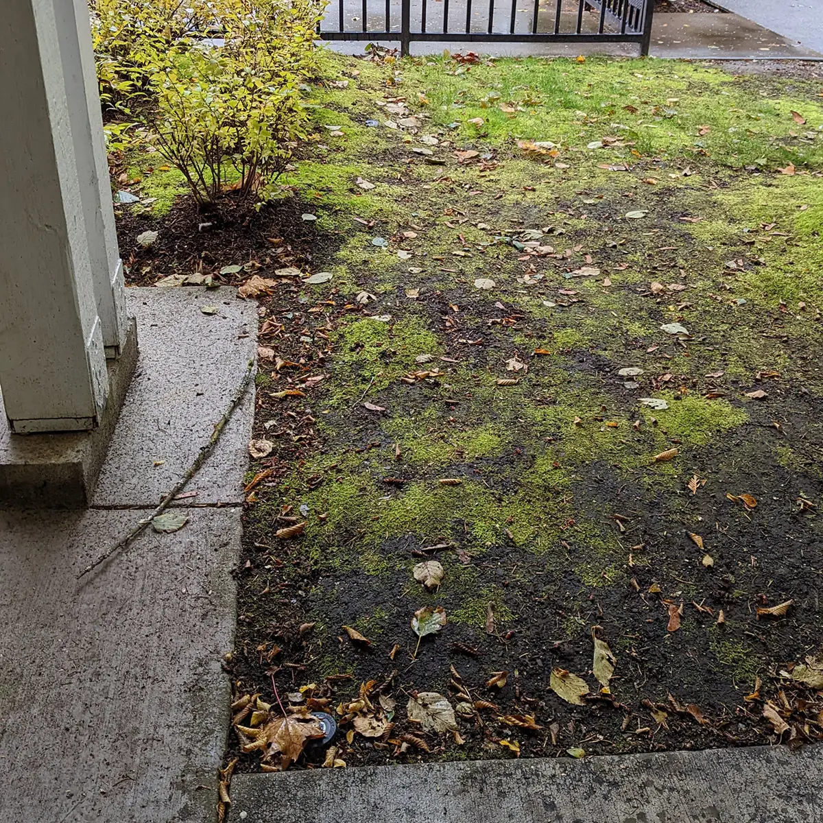 artificial landscaping grass