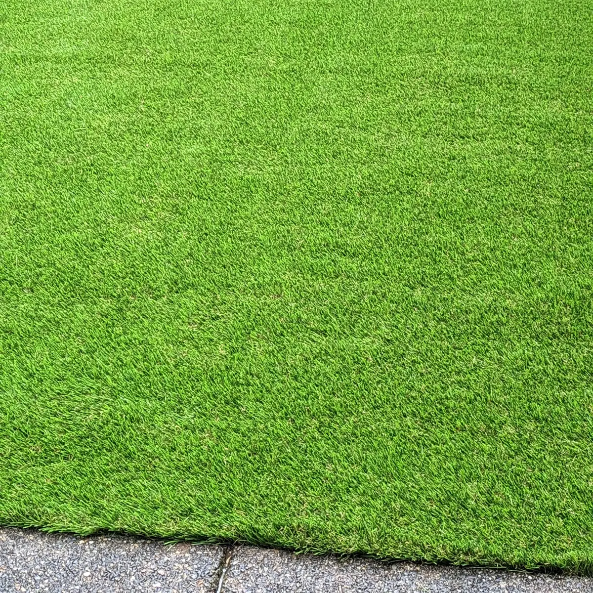 artificial landscaping grass Mill Creek
