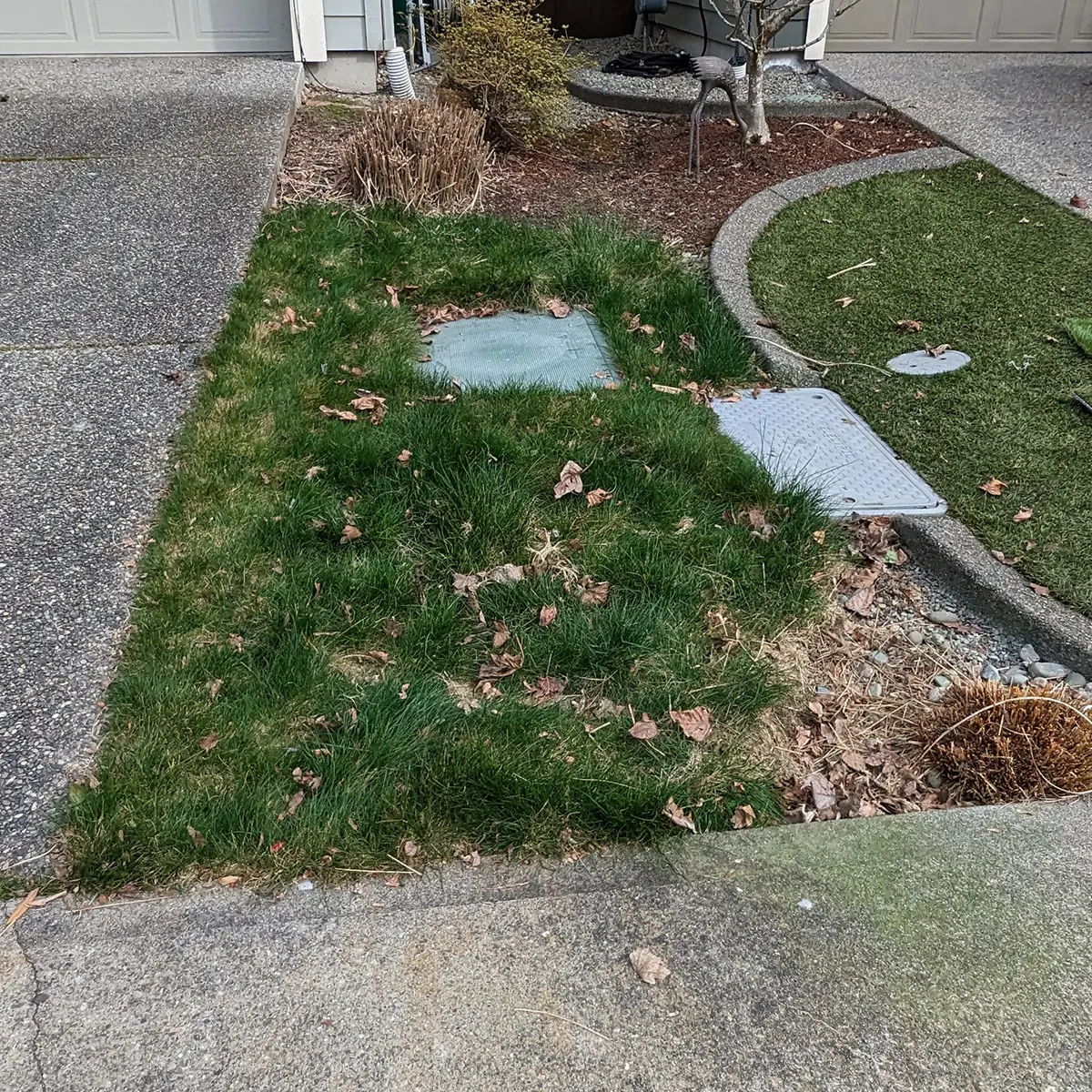 artificial landscaping grass Mill Creek