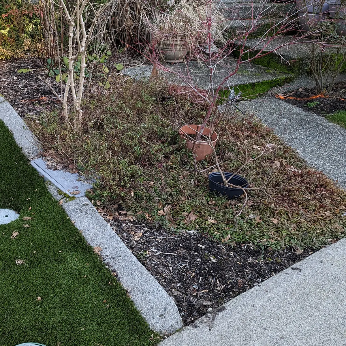 artificial landscaping grass Mill Creek