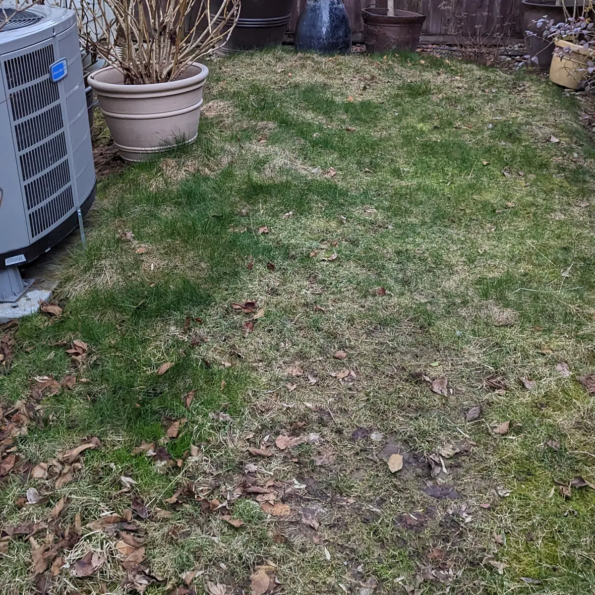 artificial landscaping grass Mill Creek