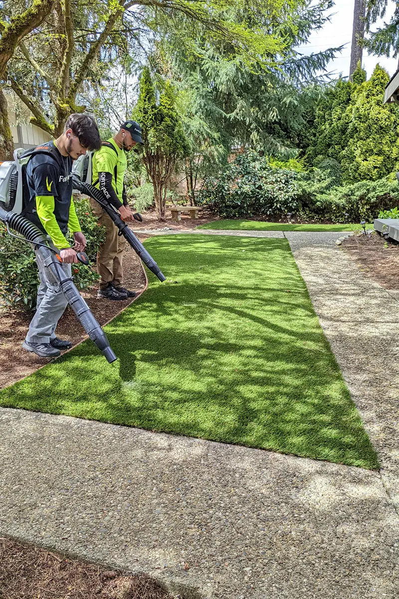 Artificial Grass Maintenance Services
