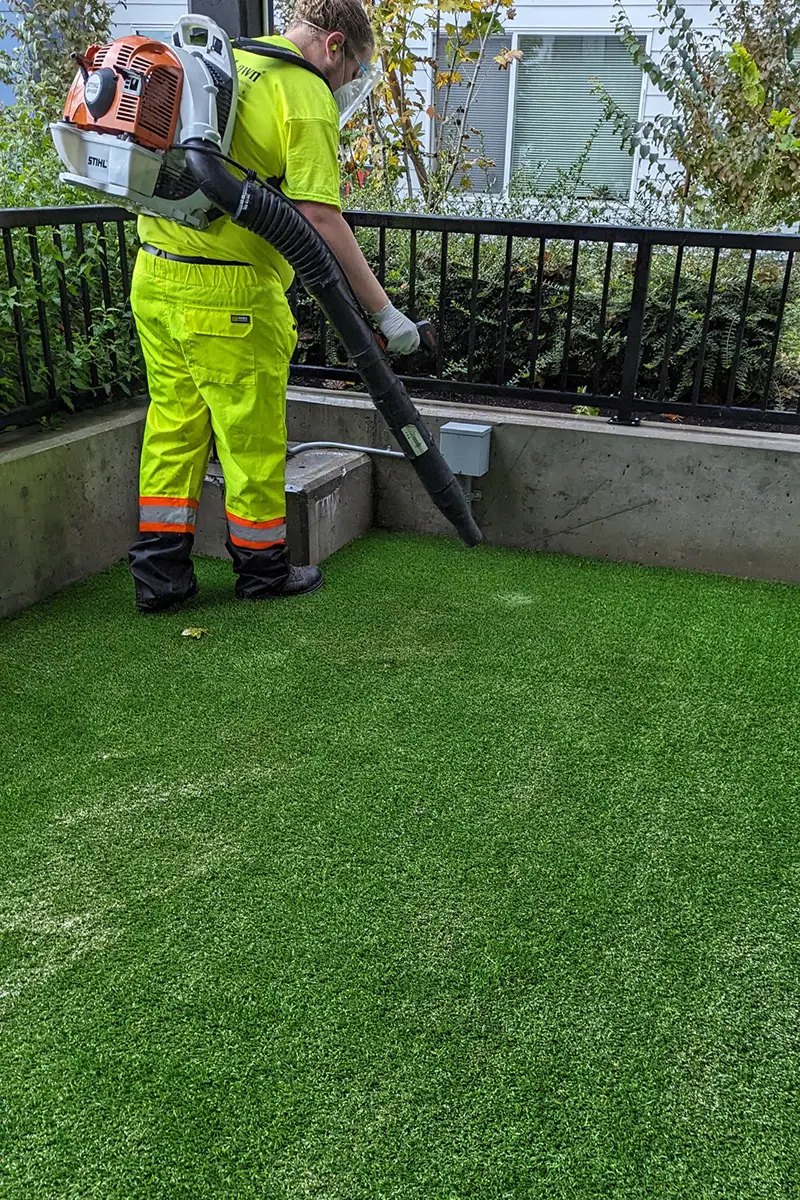 turf maintenance