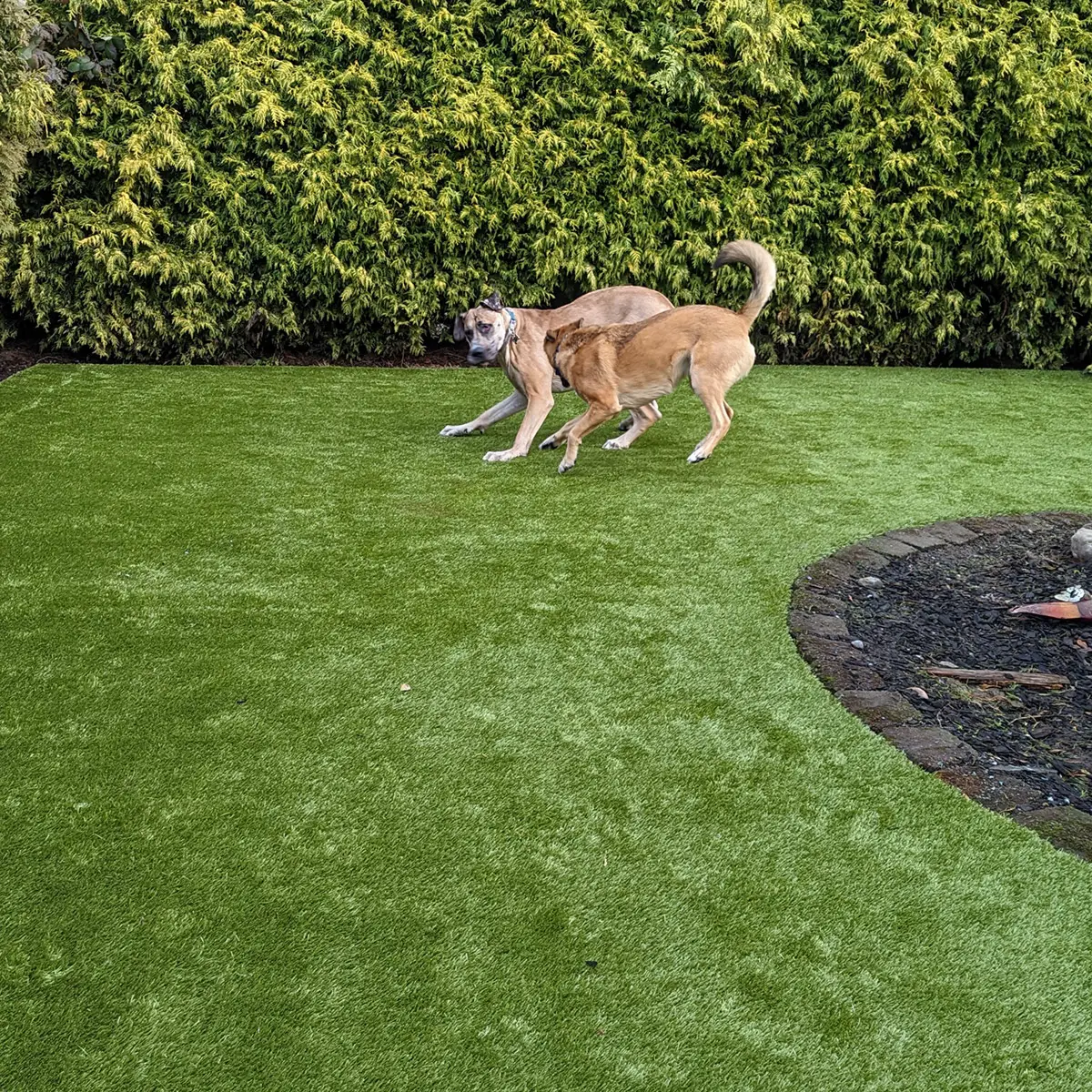 K9Grass installation