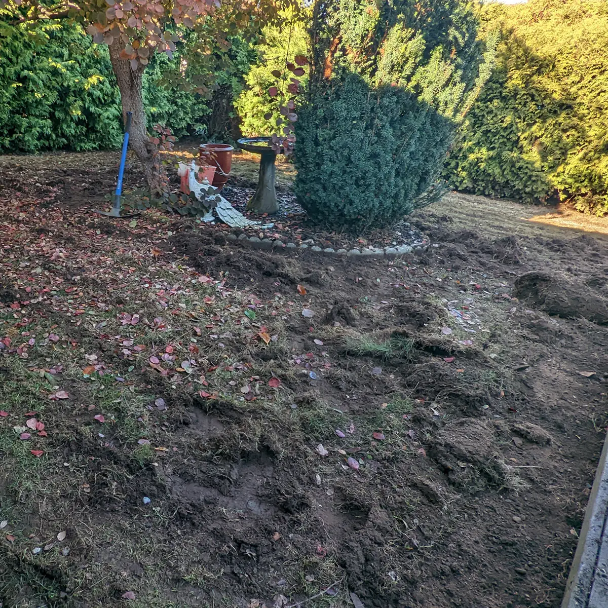 K9Grass installation