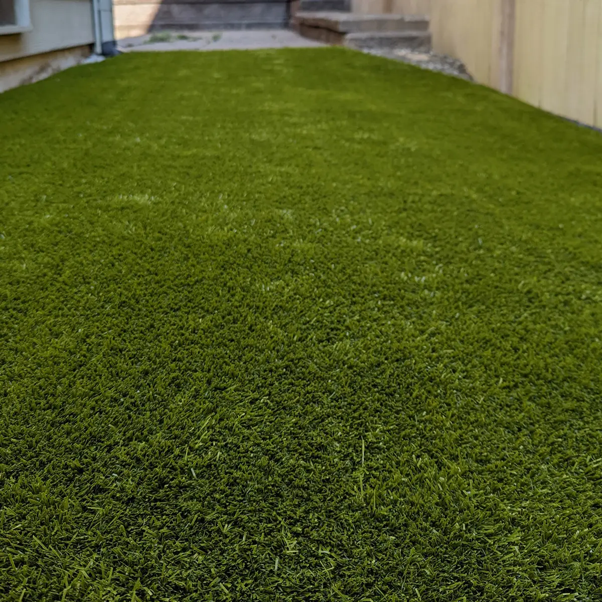 Featured image for “Dog-friendly Backyard near Bothell, Washington”
