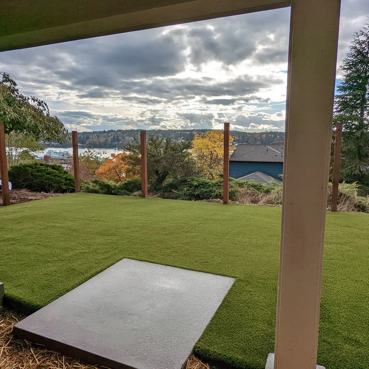 artificial turf for dogs