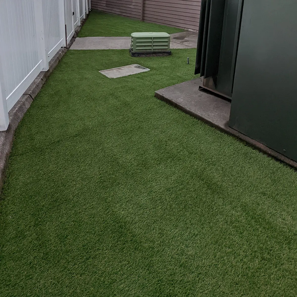 K9Grass Puppy Play