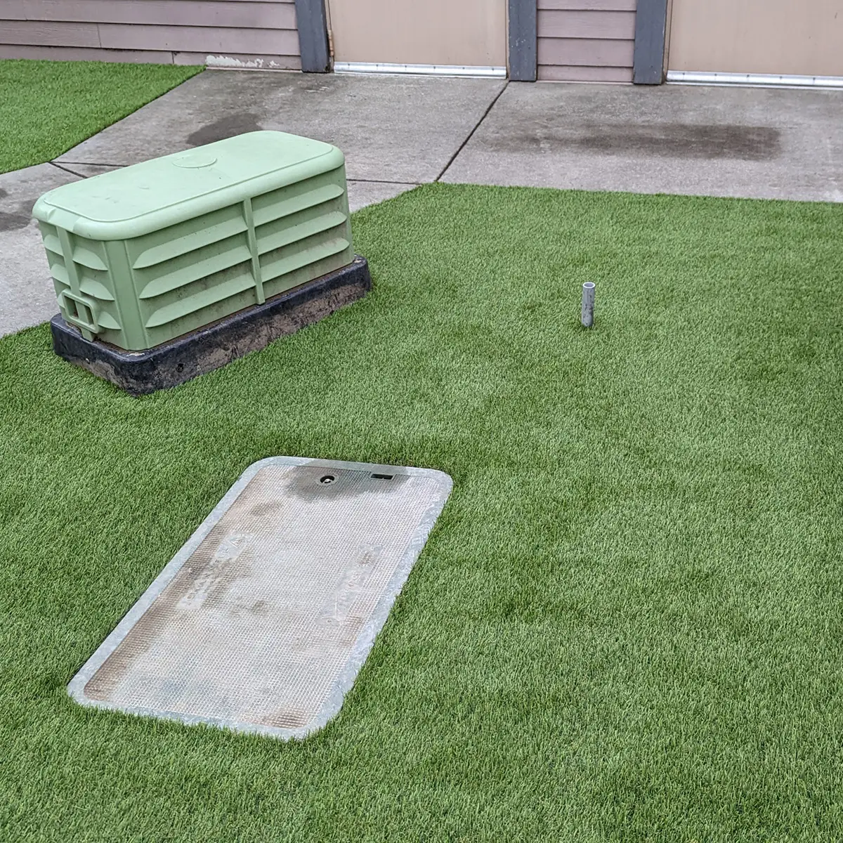 K9Grass Puppy Play