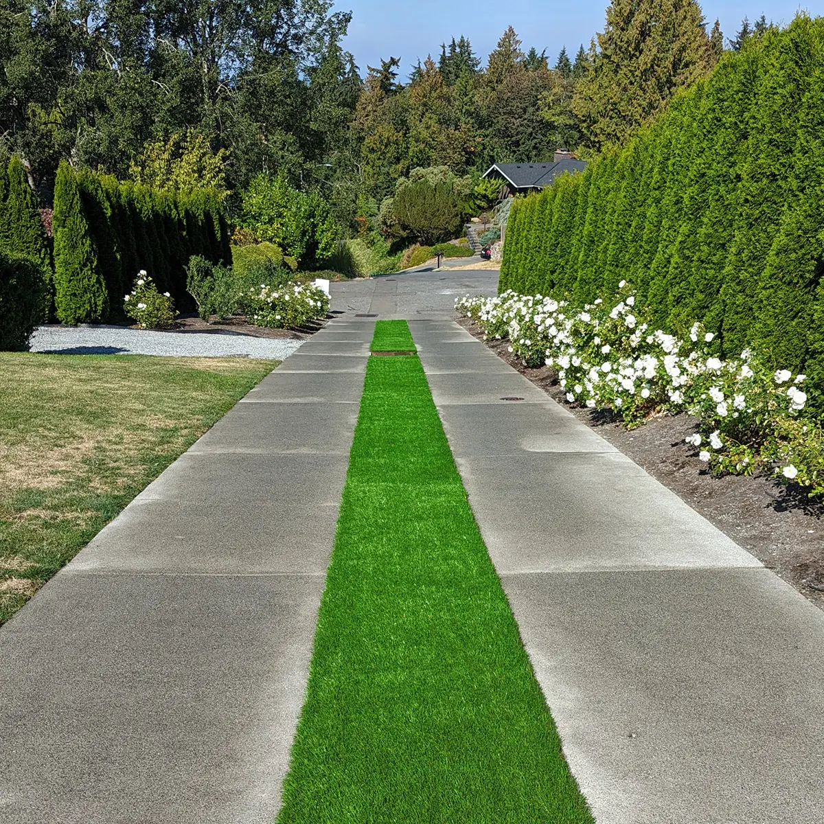 artificial landscaping grass Edmonds WA