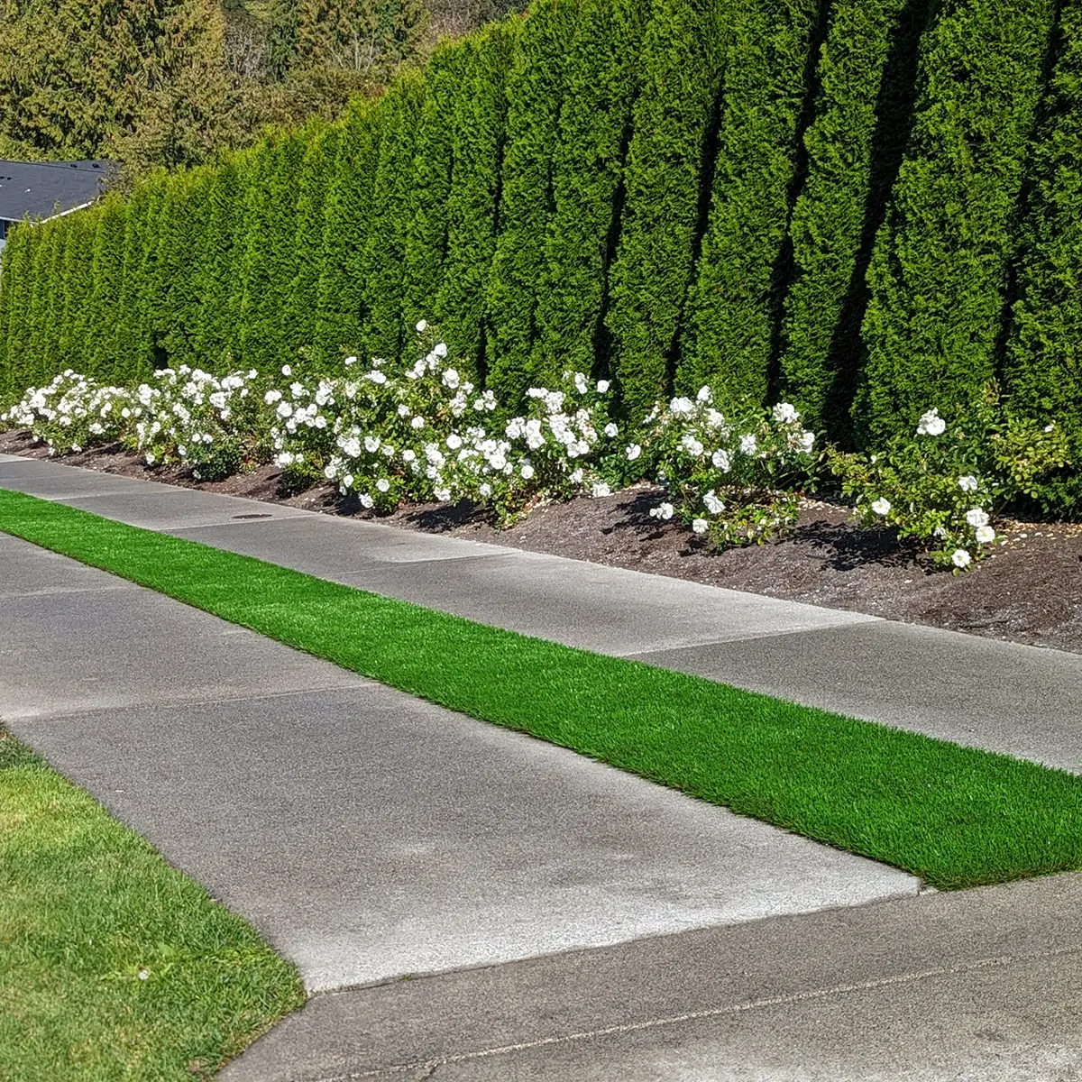 Featured image for “Edmonds Transformation with Artificial Landscaping Grass Installation”