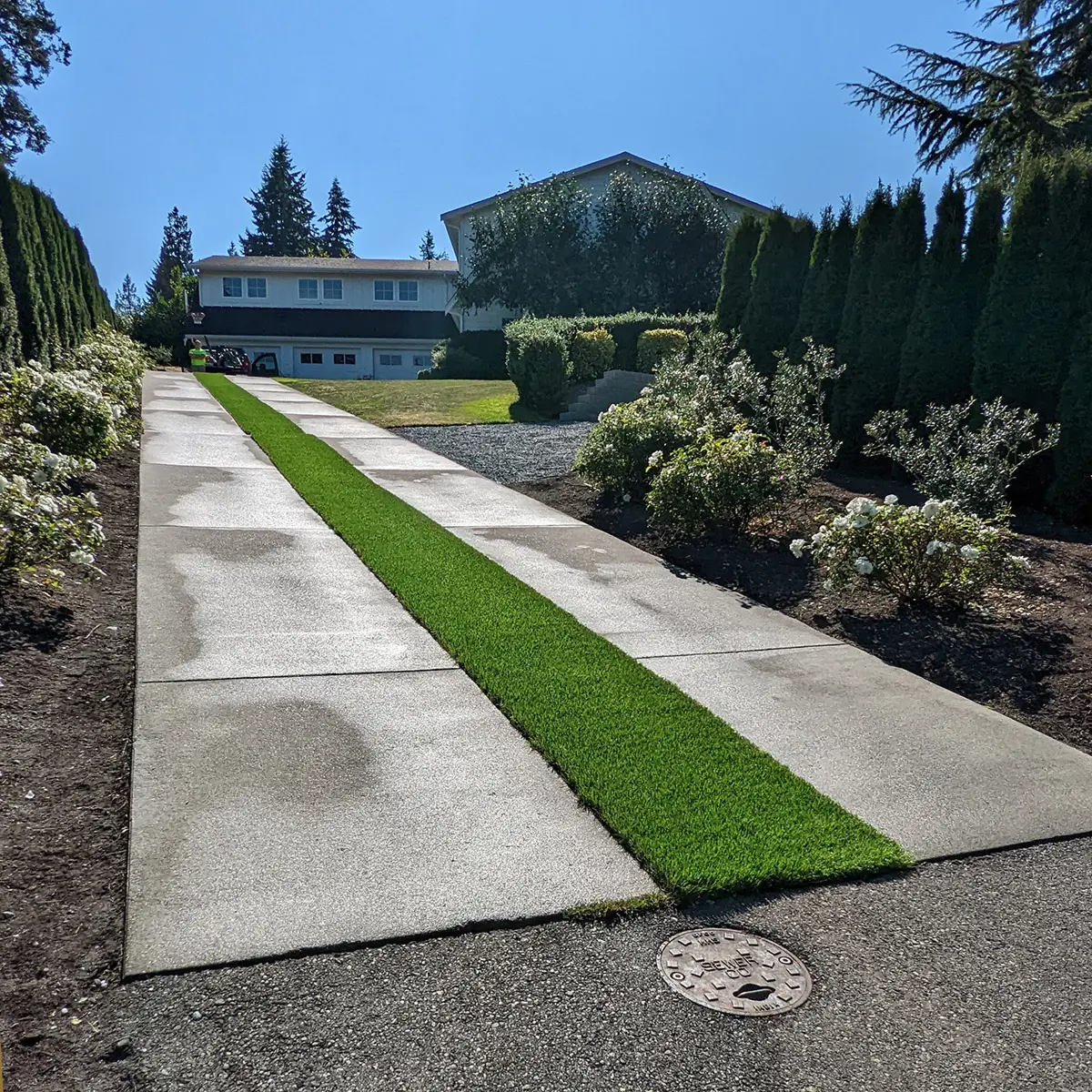 artificial landscaping grass Edmonds WA