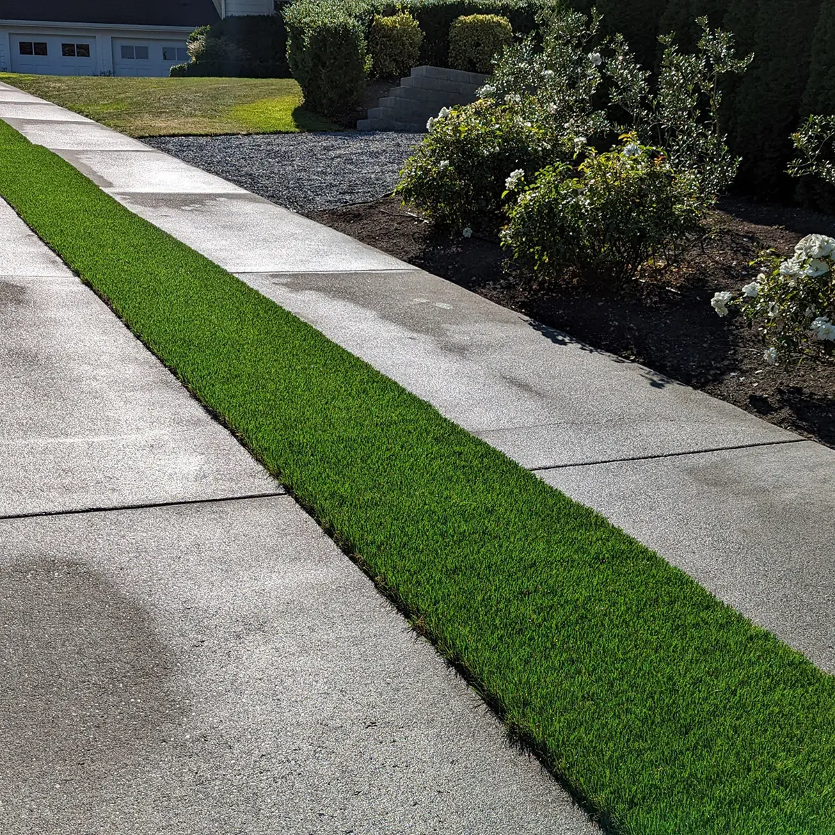 artificial landscaping grass Edmonds WA