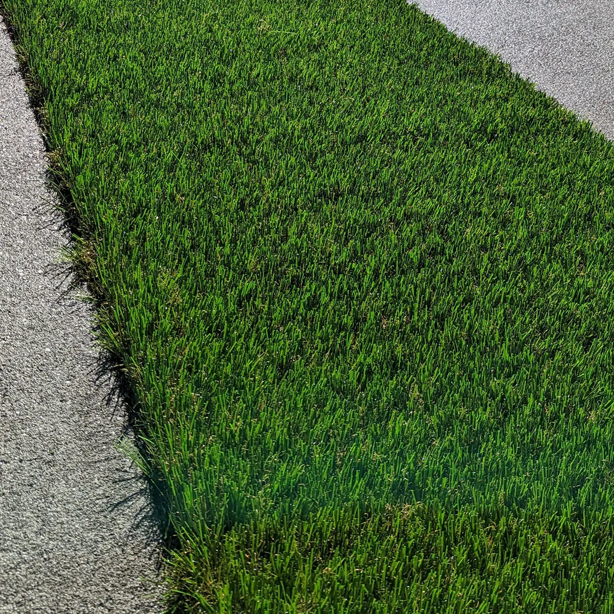 artificial landscaping grass Edmonds WA