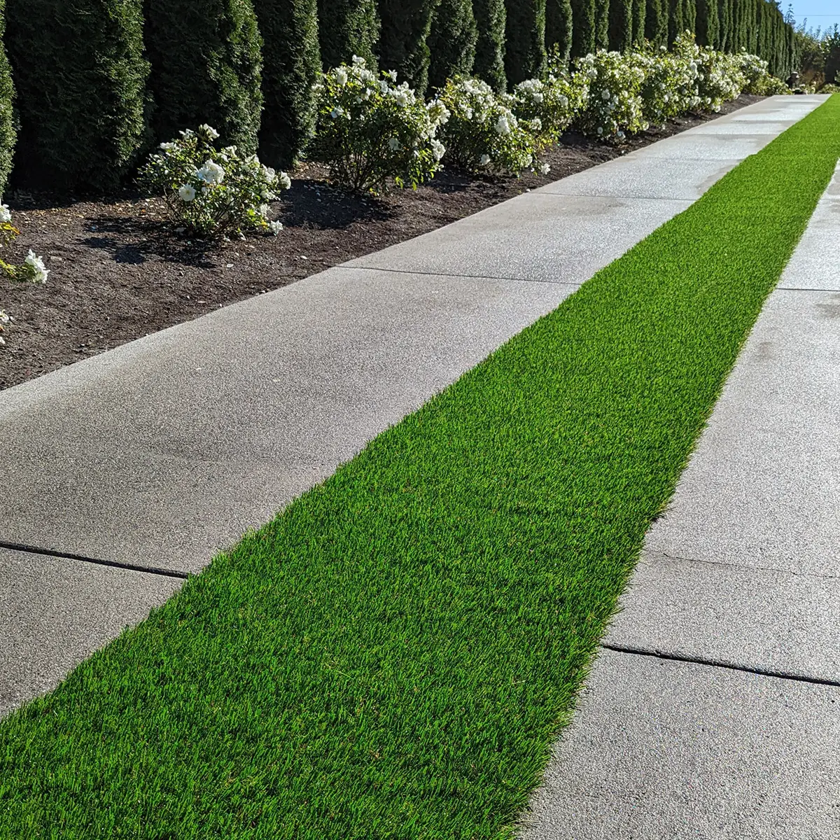 artificial landscaping grass Edmonds WA