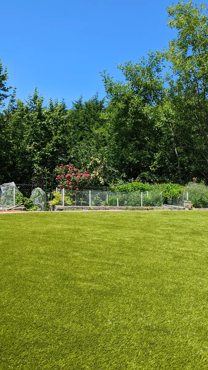 synthetic dog grass
