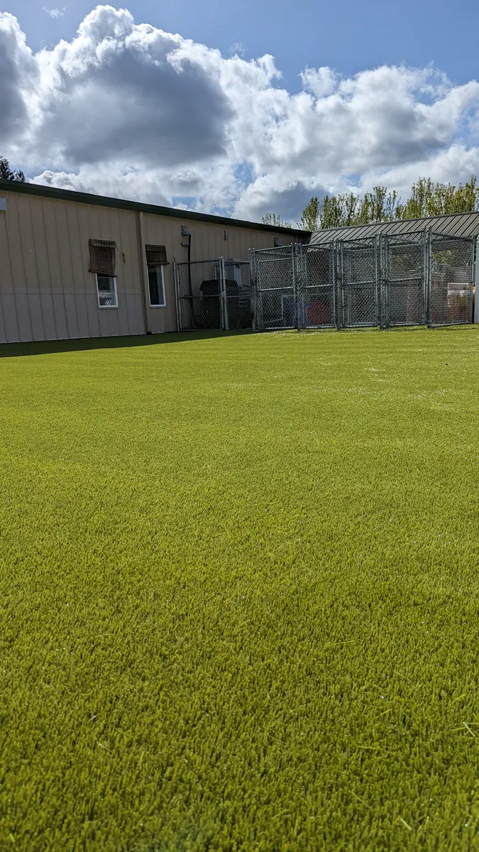 K9Grass Classic+