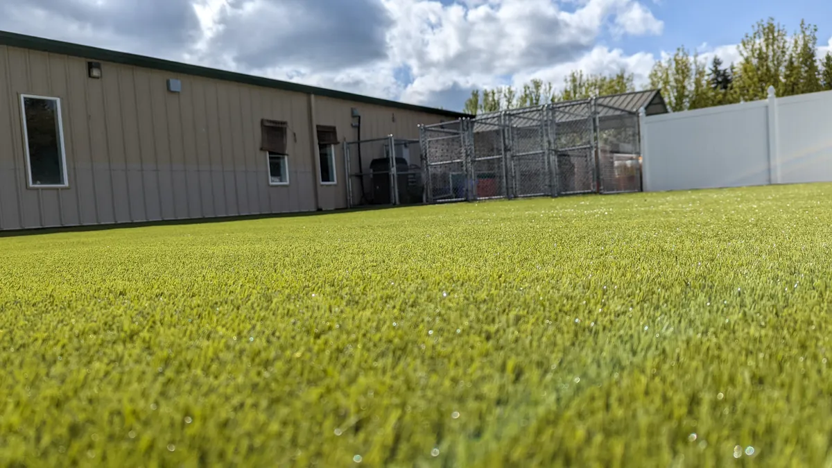 K9Grass Classic+