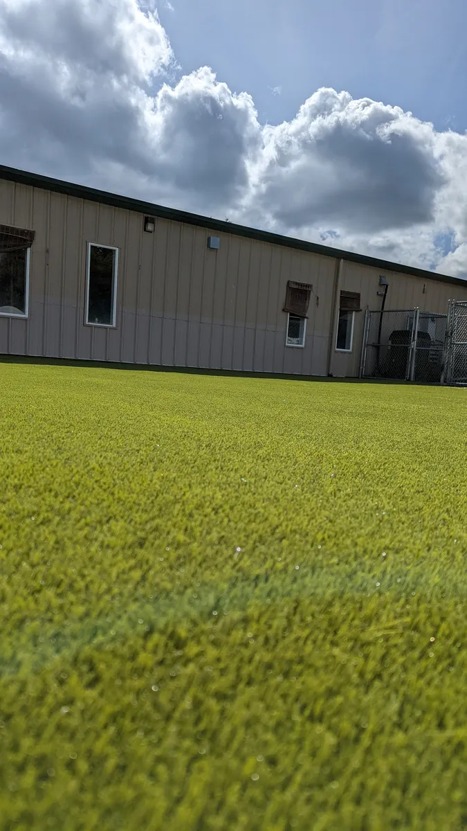 K9Grass Classic+