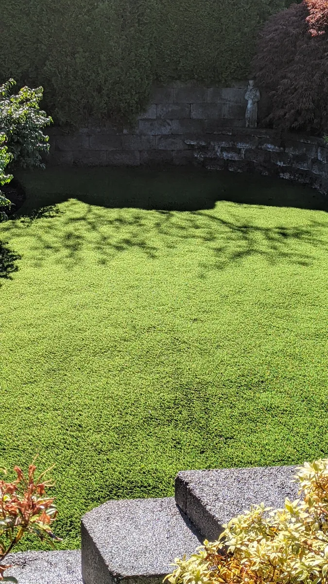 artificial grass