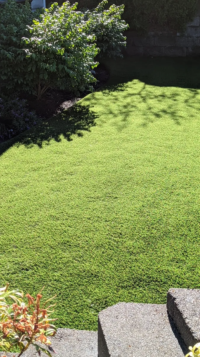 artificial grass