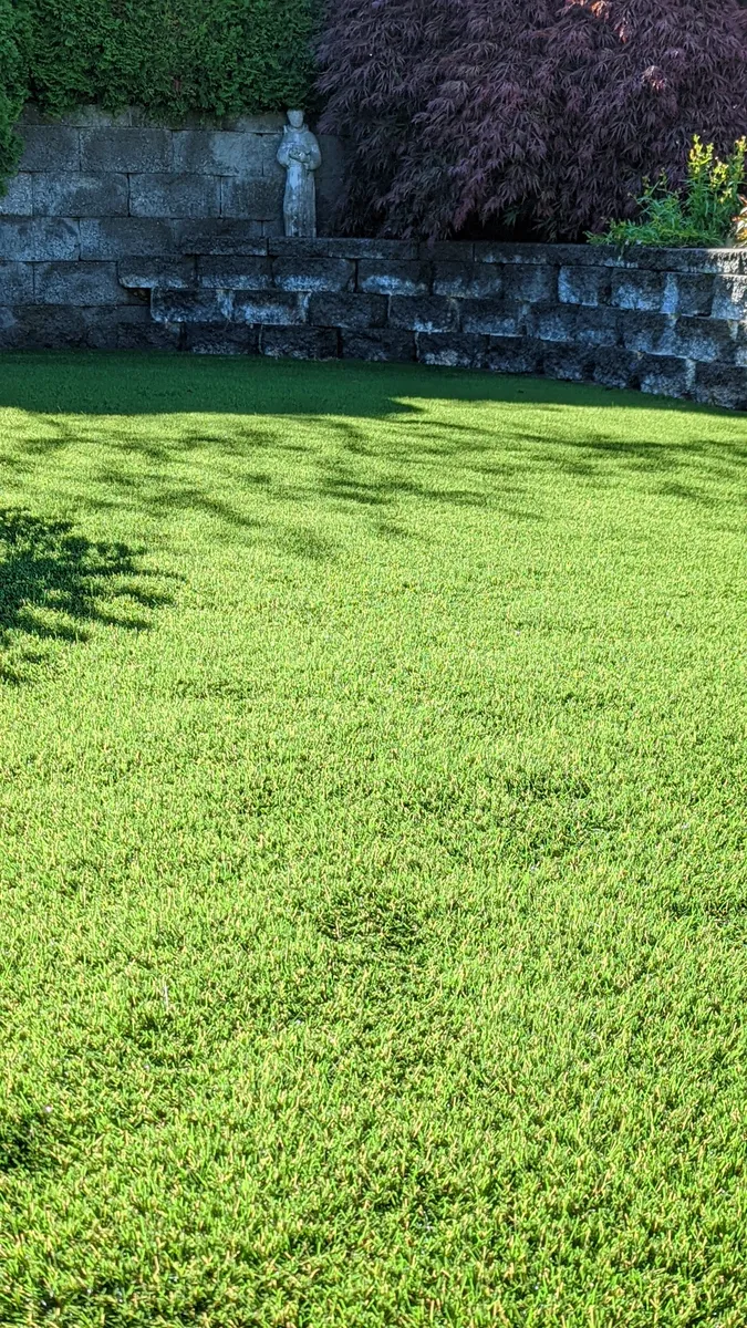 artificial grass
