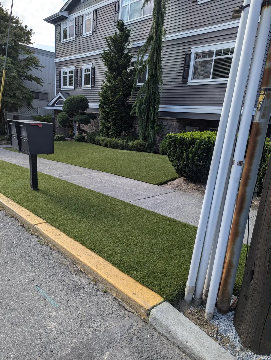 maintenance-free lawn solutions