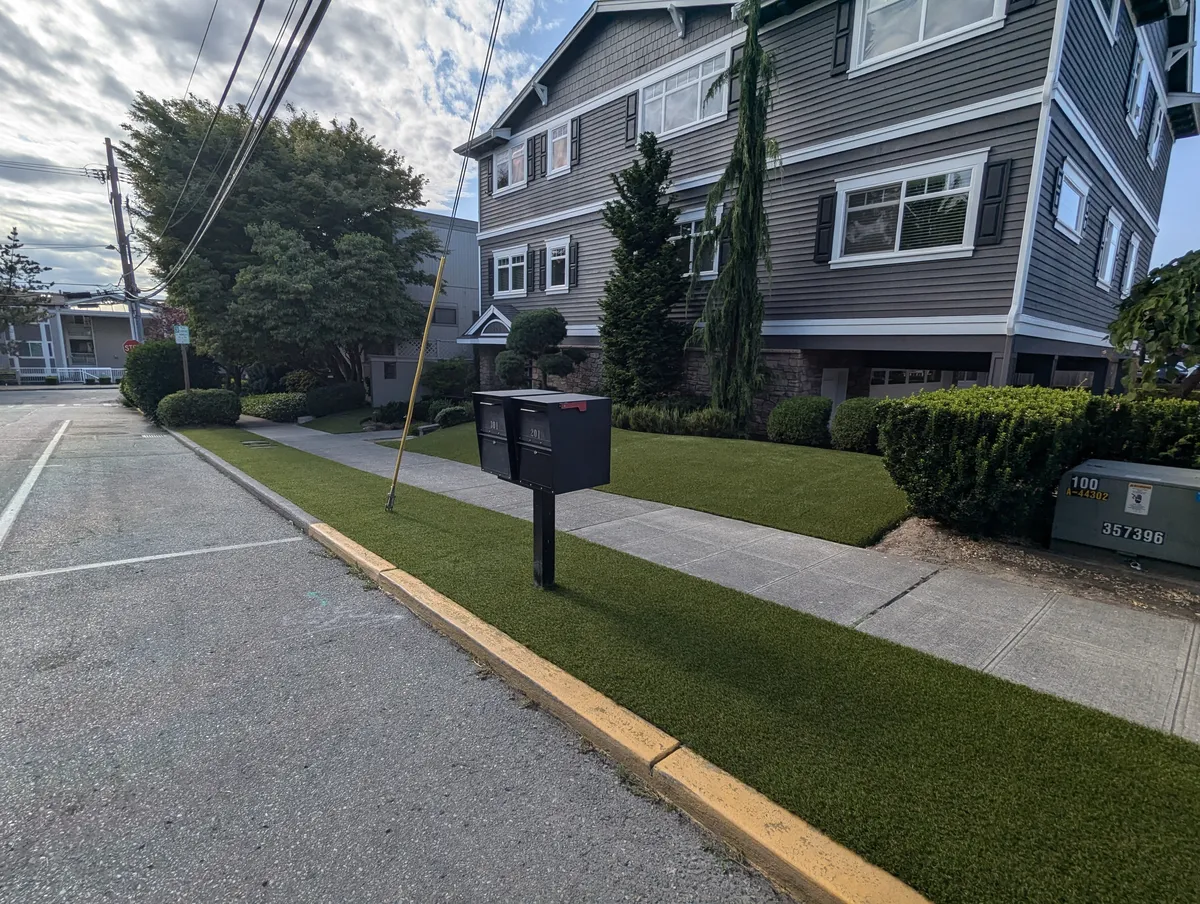 maintenance-free lawn solutions