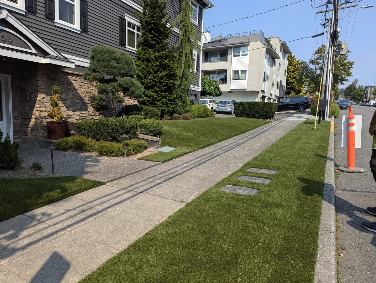 maintenance-free lawn solutions