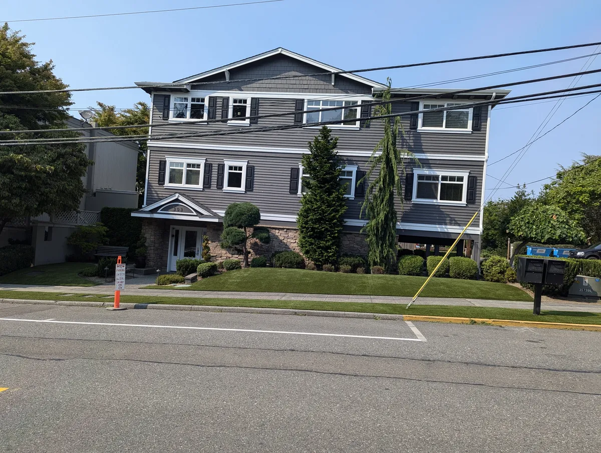 maintenance-free lawn solutions