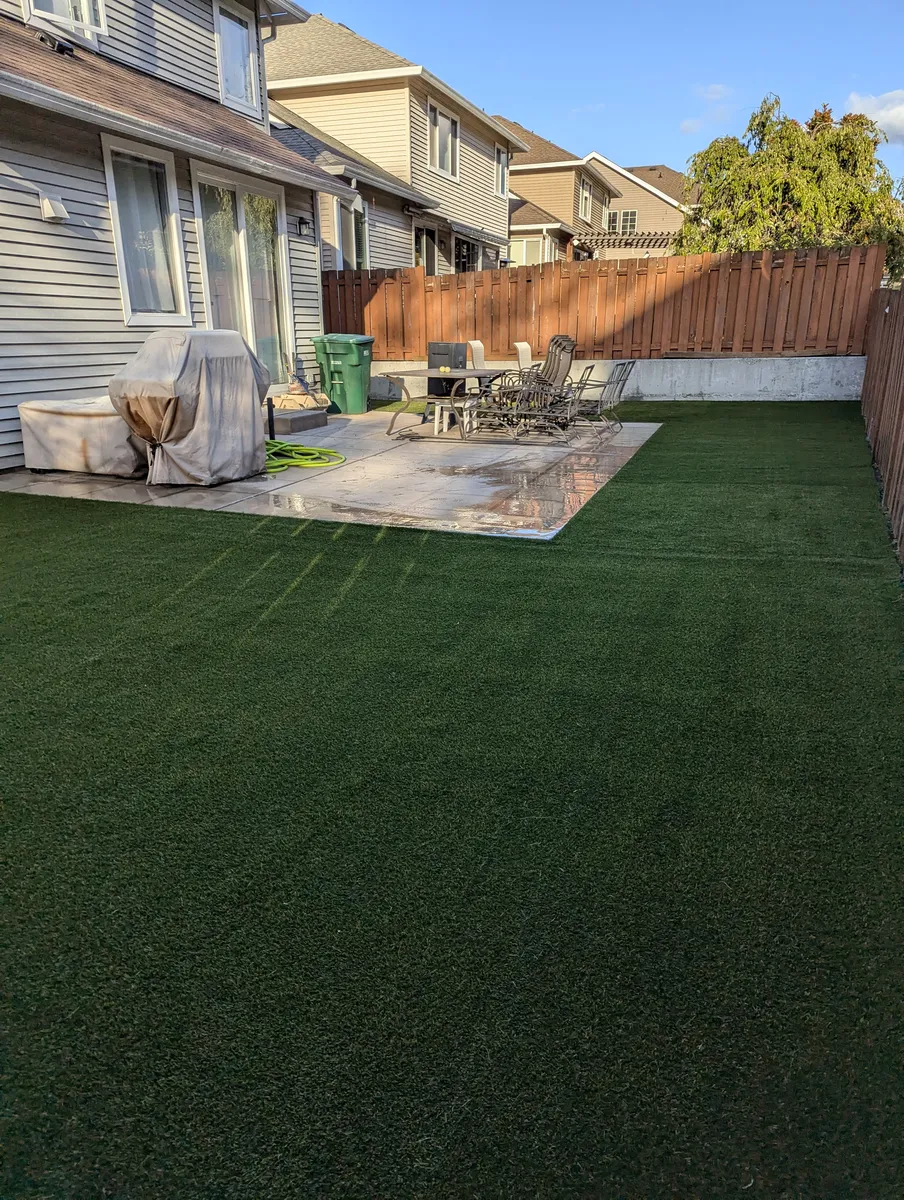 Featured image for “K9Grass Elite: Transform Your Dog’s Outdoor Experience in Snohomish”