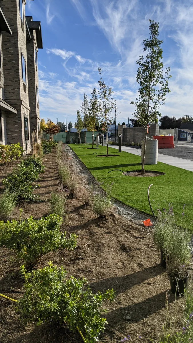 artificial landscape grass