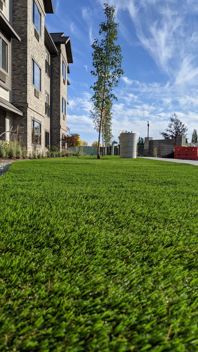 Featured image for “Transform Your Yard: Effortless Landscape Solutions for Modern Homeowners”