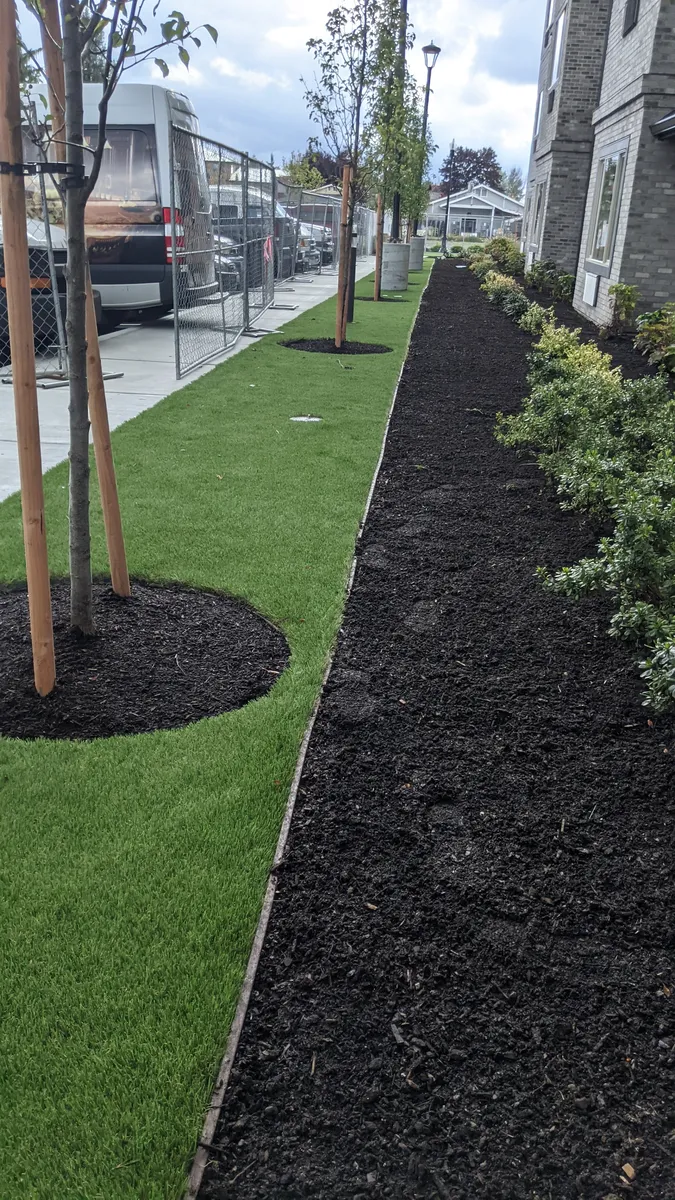 artificial landscape grass